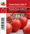 Tomate Roma Colibri (tray 12 pot)